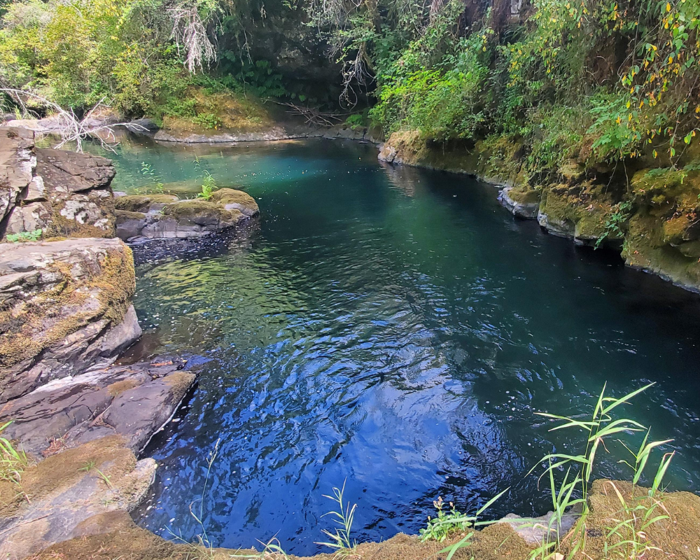 Deep pool on Butte Creek