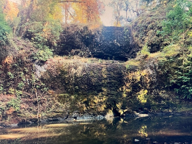 East fork Drift Creek falls